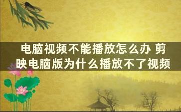 电脑视频不能播放怎么办 剪映电脑版为什么播放不了视频